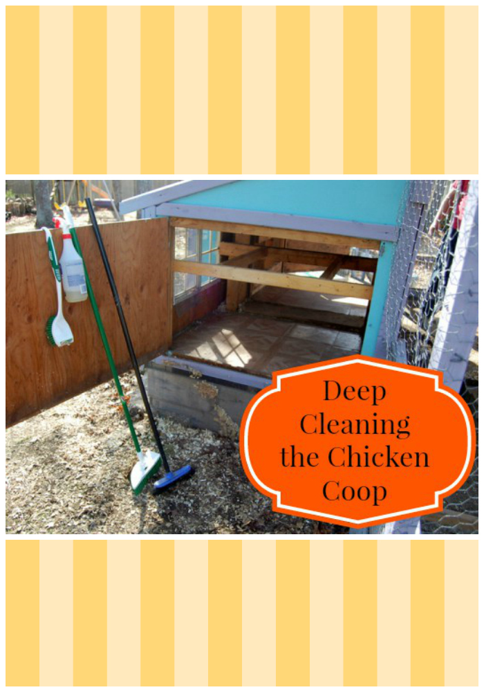 Deep Cleaning the Chicken Coop