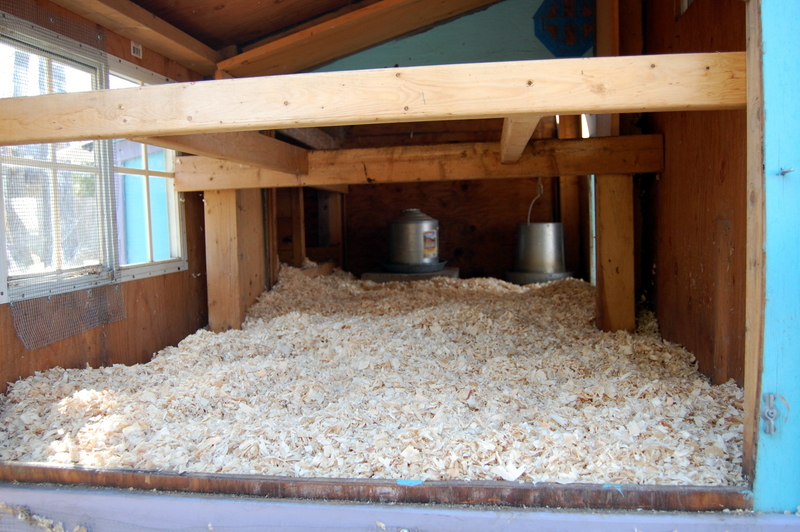 Deep Cleaning your Chicken Coop