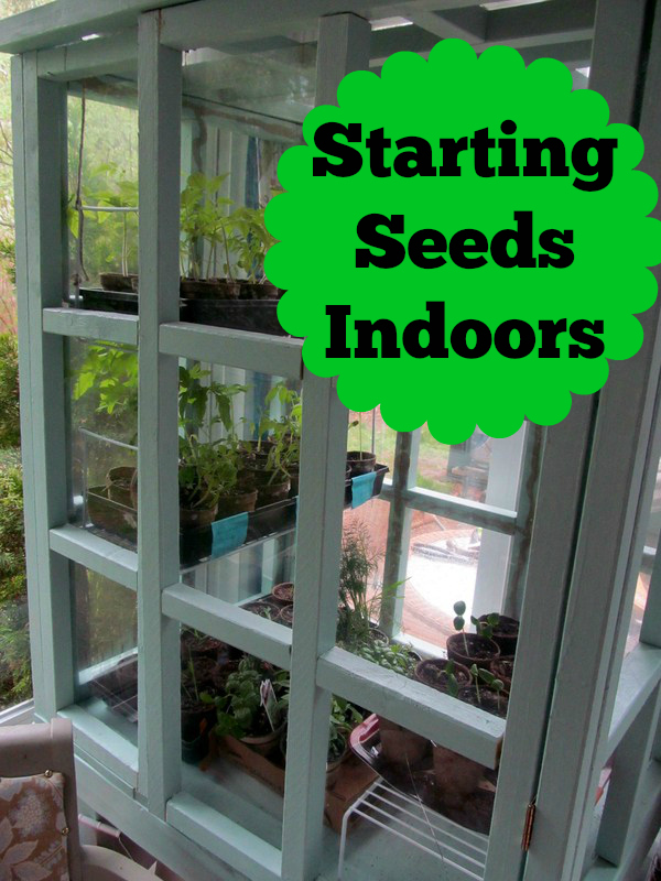 Start your garden off right by starting your seeds indoors. It's easier than you think!