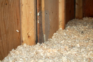 Deep Cleaning your Chicken Coop