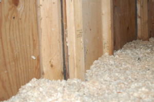 Deep Cleaning your Chicken Coop