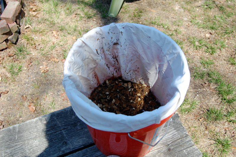 Chicken Manure Tea for your garden