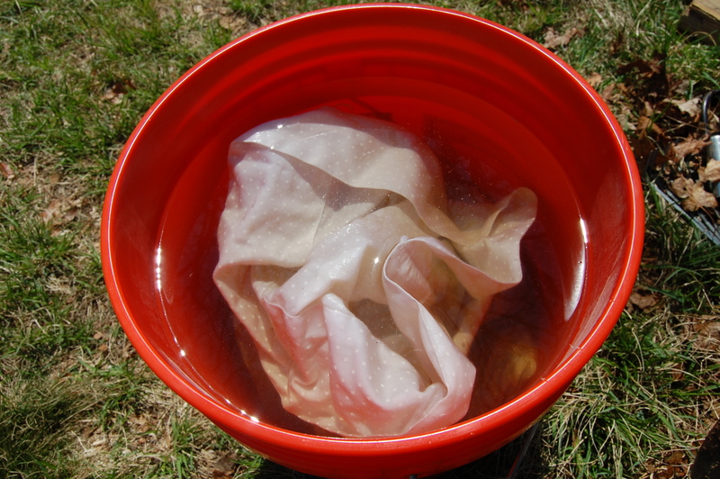 Chicken Manure Tea for your garden