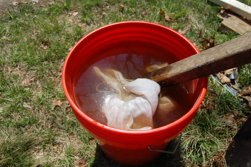 Chicken Manure Tea for your Garden