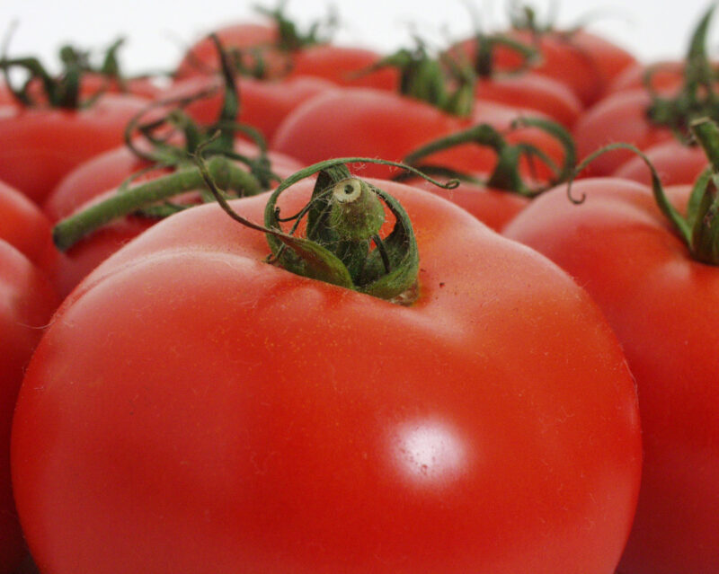 Top tips for a huge tomato harvest