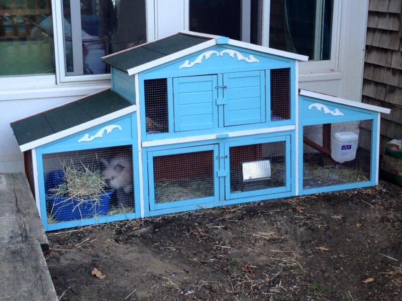 Rabbit Hutch