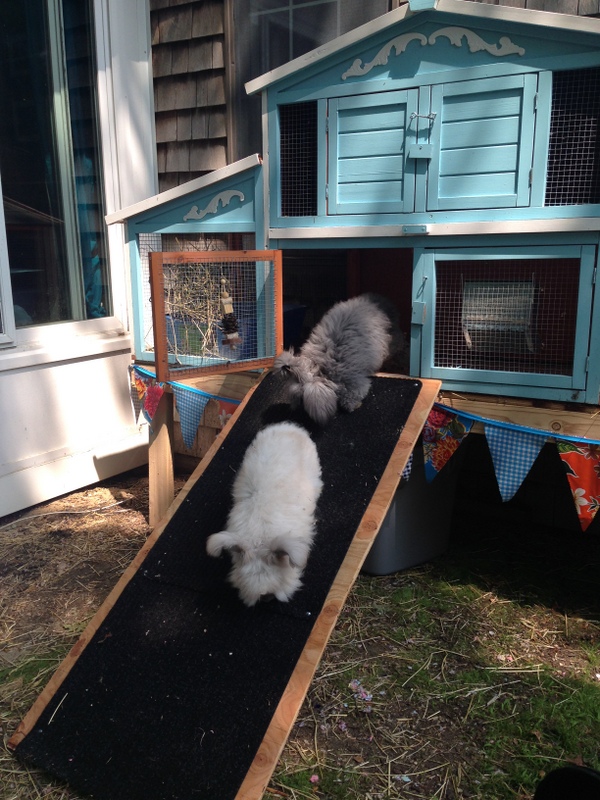 Building a raised base for rabbit hutch