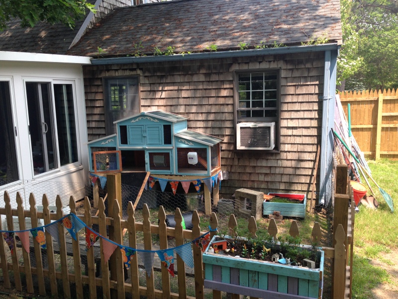 Rabbit Play Yard