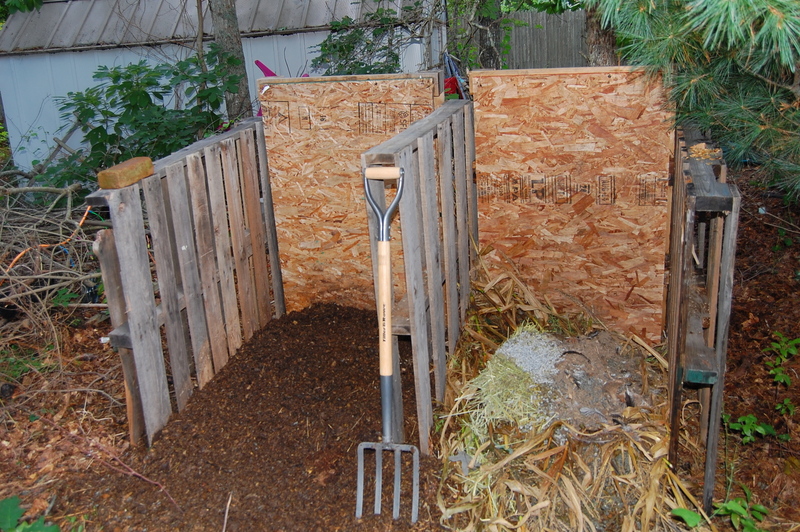 Benefits of Keeping Chickens