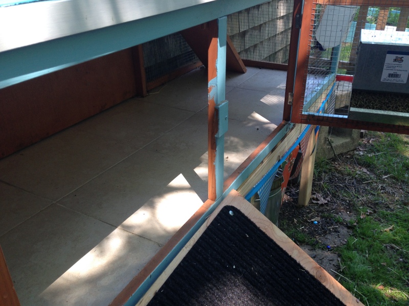 Photo Tour of our Rabbit Yard