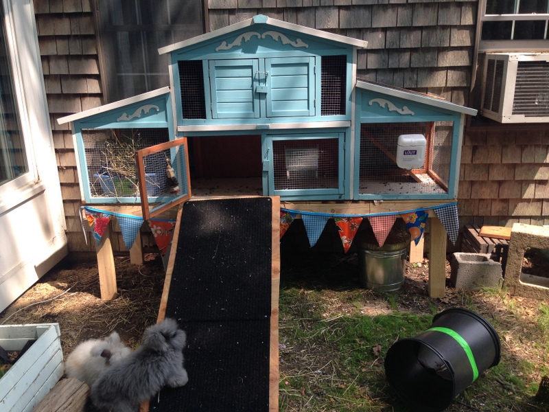 Photo Tour of our Rabbit Yard