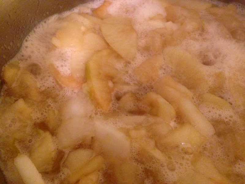 Super Easy Applesauce Canning Recipe