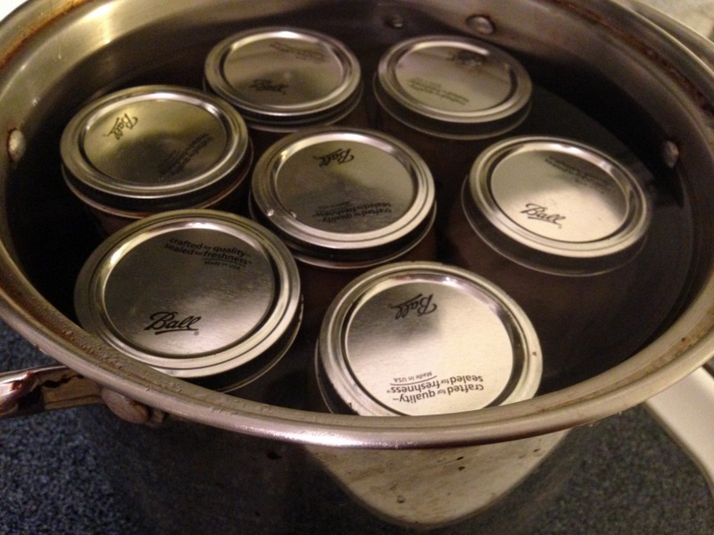 Super Easy Applesauce Canning Recipe