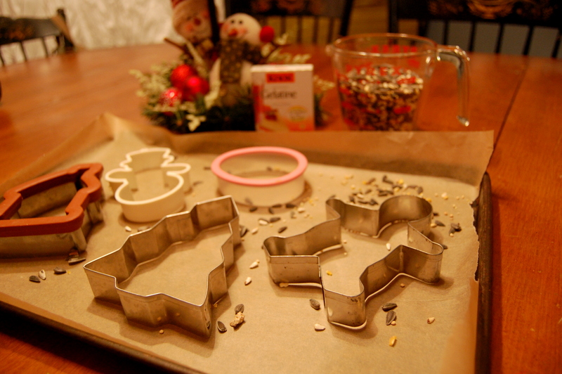 Homemade Holiday - Birdseed Ornaments