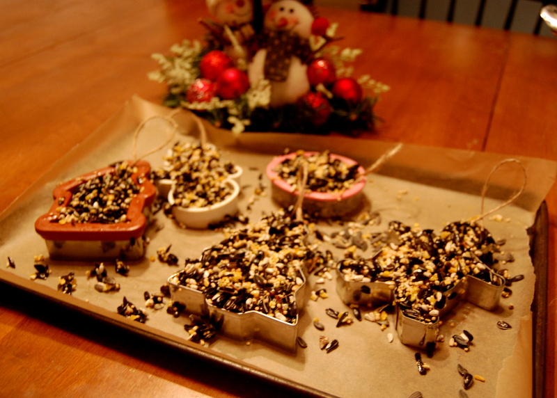 Homemade Holidays - Birdseed Ornaments