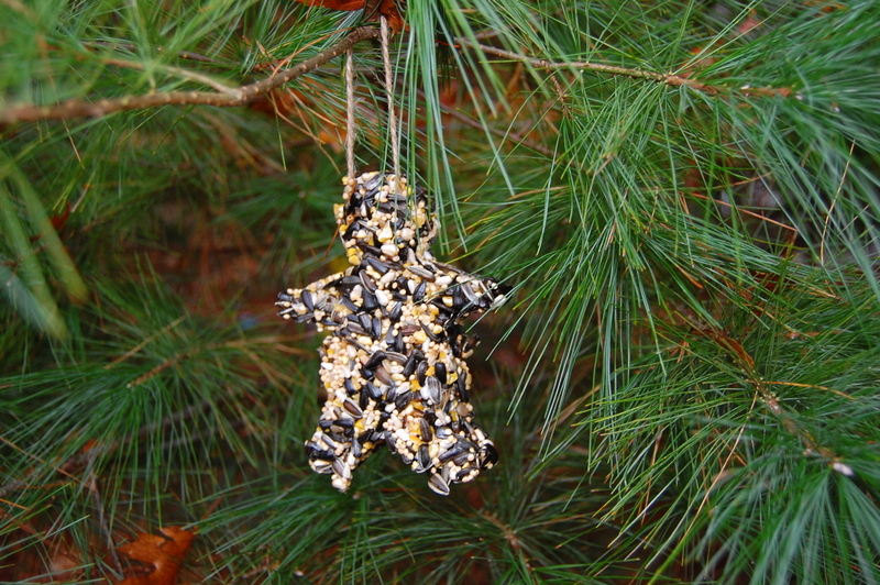 Homemade Holidays - Birdseed Ornaments