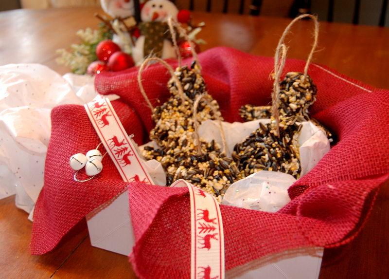 Homemade Holidays - Birdseed Ornaments