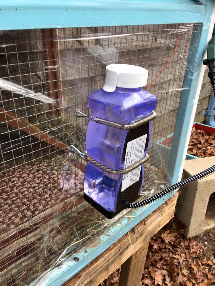 Getting rabbits ready for winter