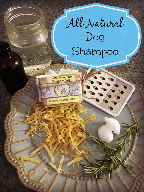 DIY Non-Toxic Dog Shampoo  Easy to Make With Essential Oils!