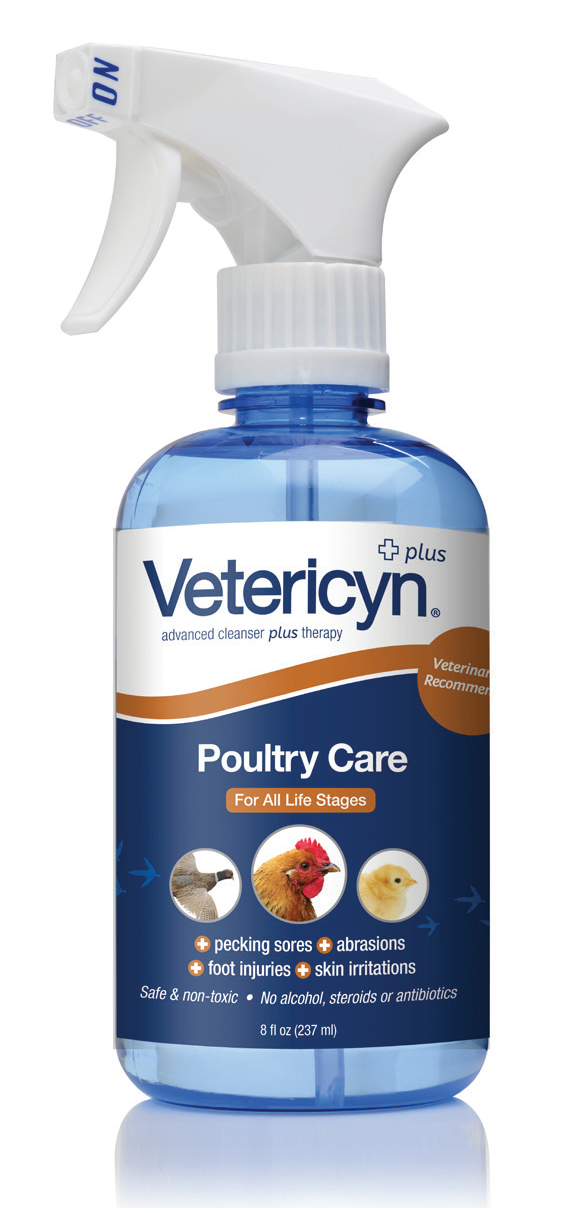 Assemble a chicken first aid kit now so you will be prepared when an emergency strikes!