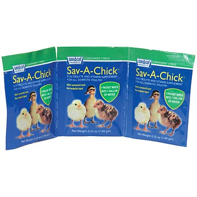 Assemble a chicken first aid kit now so you will be prepared when an emergency strikes!
