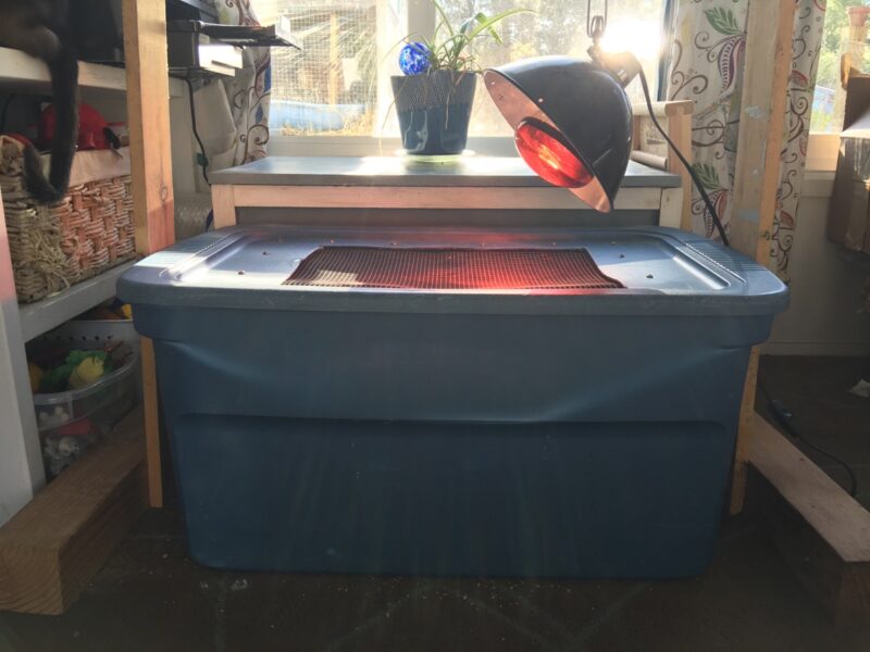 This is the set up with a heat lamp stand on either side. The lamp is clipped to a wire strung between the posts.