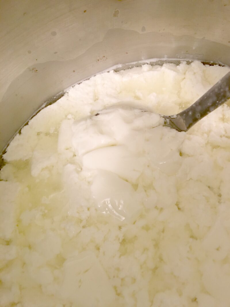 Mastering Basic Cheesemaking
