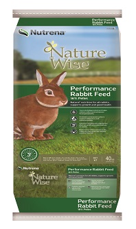 Feeding Wool Rabbits The Cape Coop