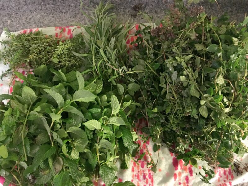 How to Preserve Herbs