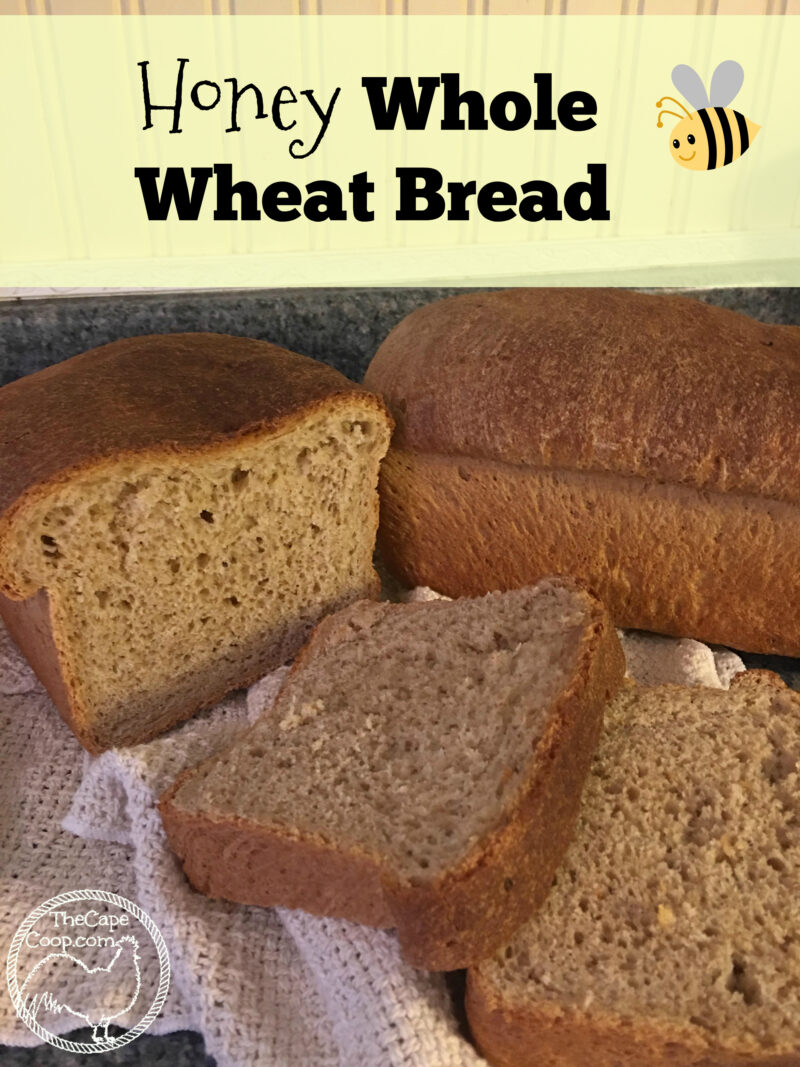 Honey Whole Wheat Bread Recipe