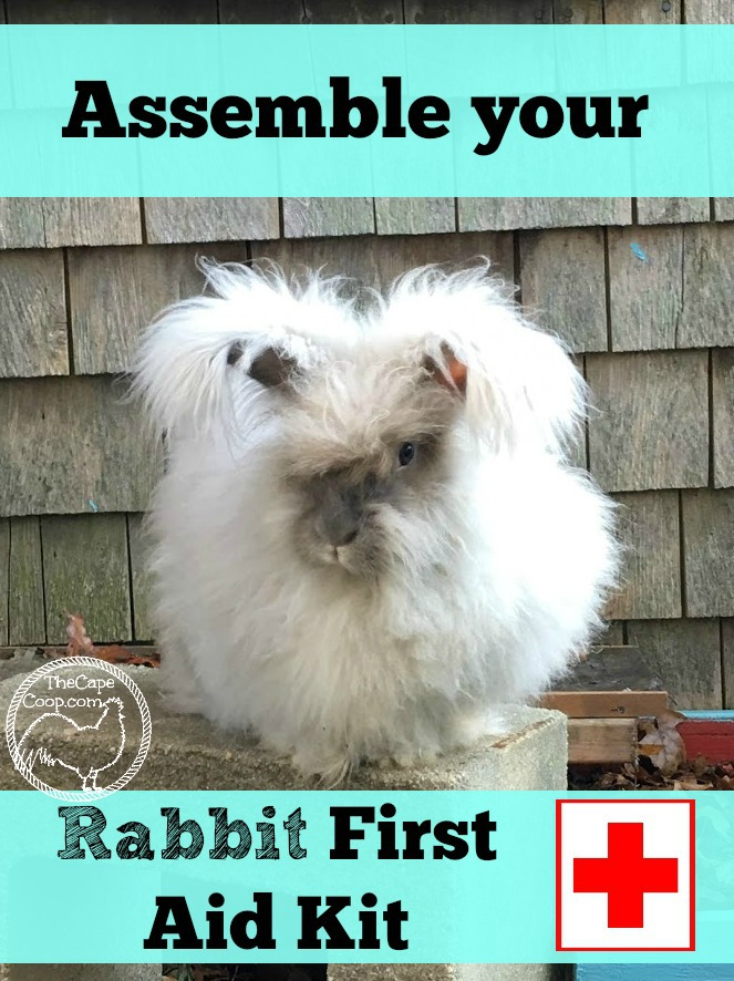Assembling a rabbit first aid kit