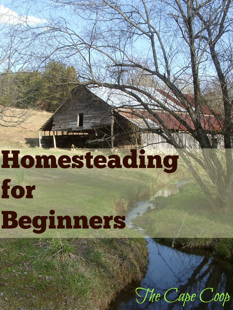 Homesteading for Beginners