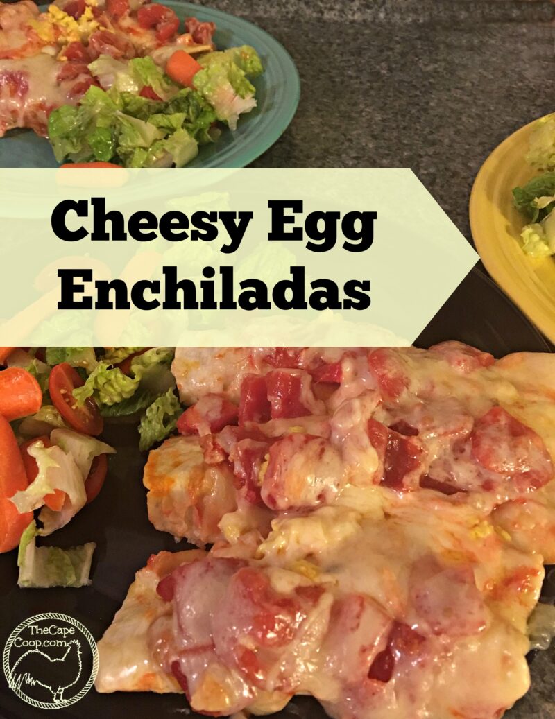 Cheesy Egg Enchiladas